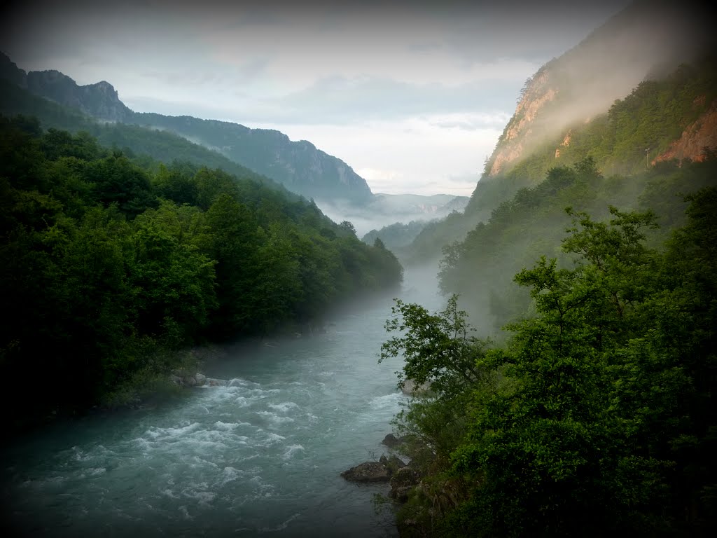 Tara river (MNE)