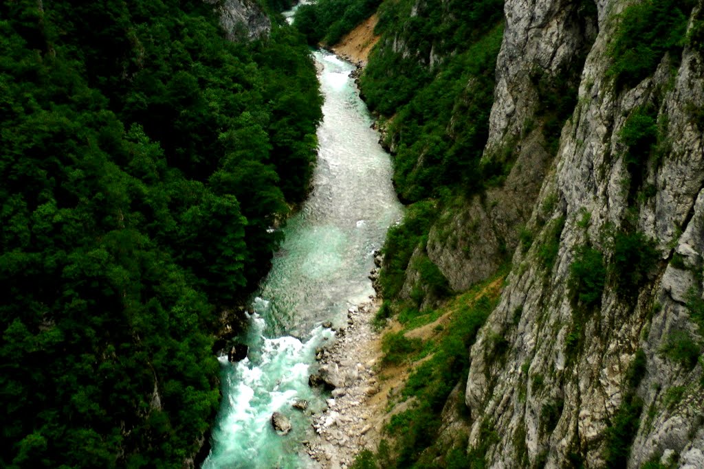 Piva river (MNE)